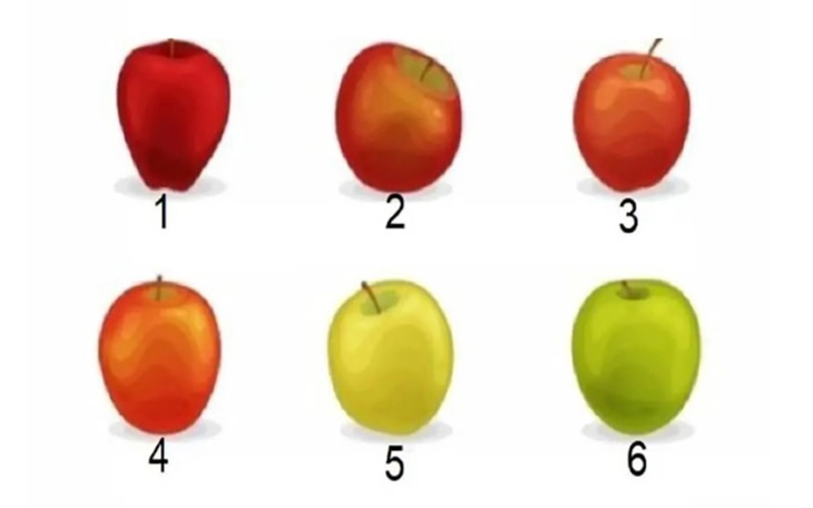 Quiz: Bạn năng động, nhiệt huyết hay là người ấm áp, tình cảm - Ảnh 2.