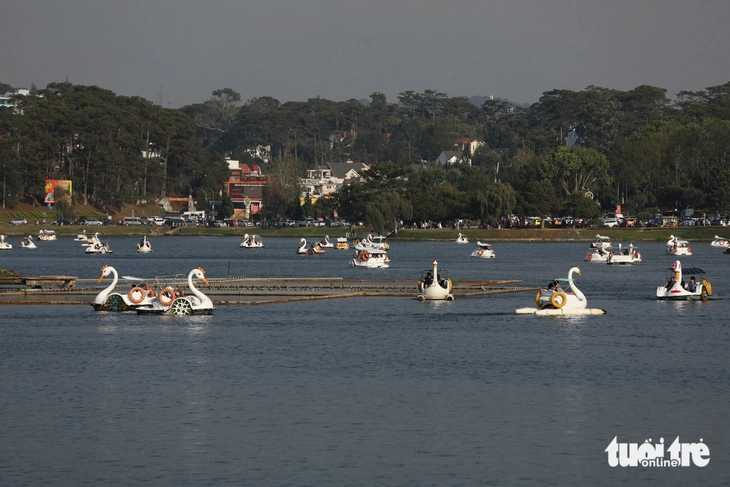 đà lạt - Ảnh 4.