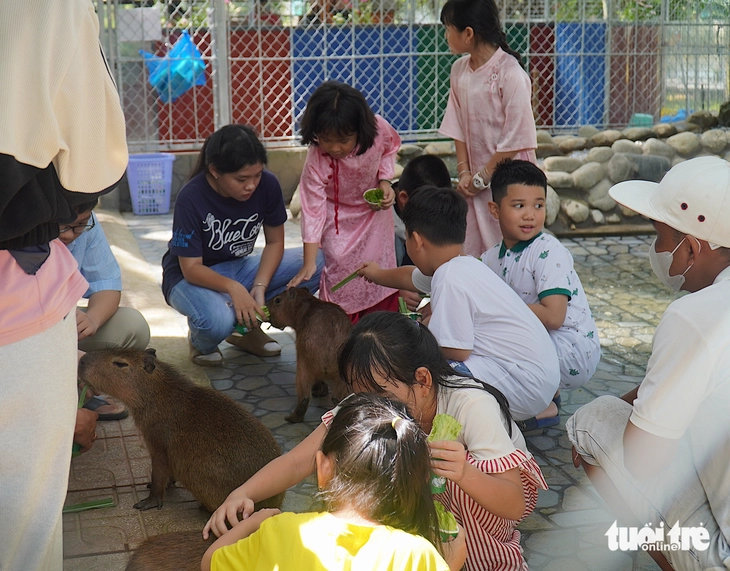 Capybara Đà Lạt đốn tim du khách tại trại rắn Đồng Tâm - Ảnh 6.