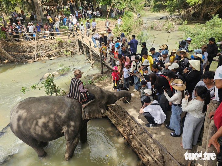 Đắk Lắk - Ảnh 4.