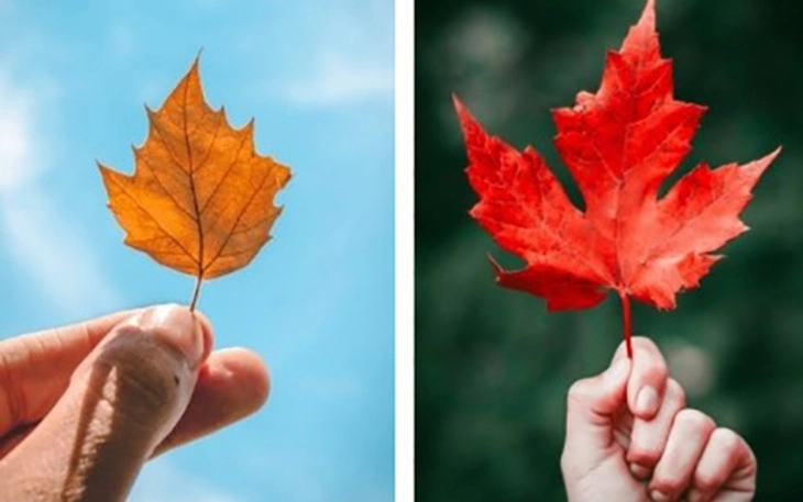 Quiz: Bạn có tinh thần cạnh tranh cao? - Ảnh 3.