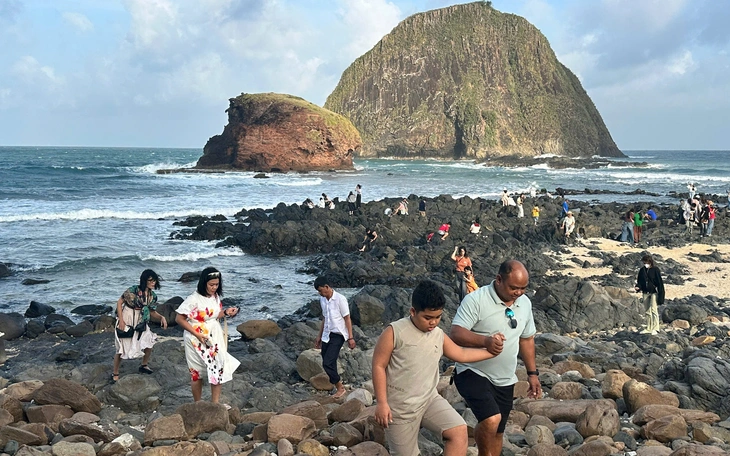 TP.HCM vắng dịp Tết, Thảo cầm viên sài Gòn vẫn thắng lớn - Ảnh 2.