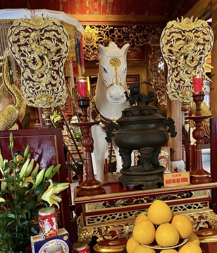 Đại sứ Nhật Bản - Ảnh 3.