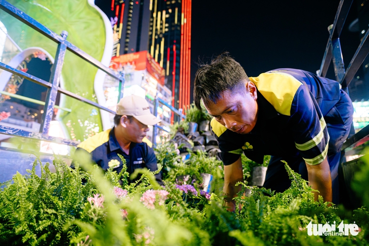 Tạm biệt Đường hoa Tết Bính Ngọ 2026, công tác thu dọn triển khai xuyên đêm - Ảnh 5. Đường hoa - Ảnh 5.