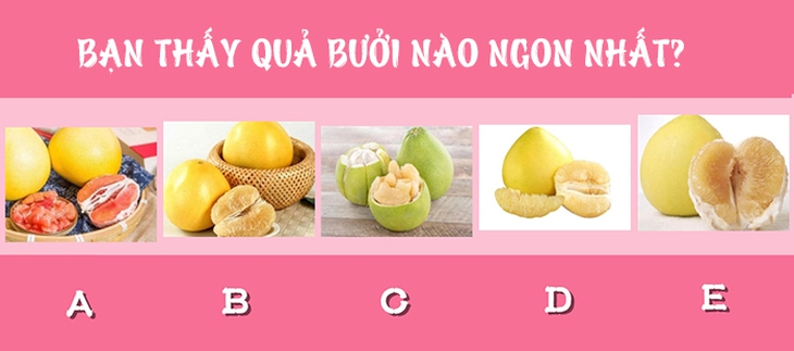 quiz - Ảnh 1.