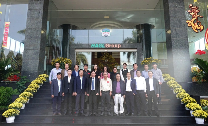 Tập đoàn Hoàng Anh Gia Lai - Ảnh 3.