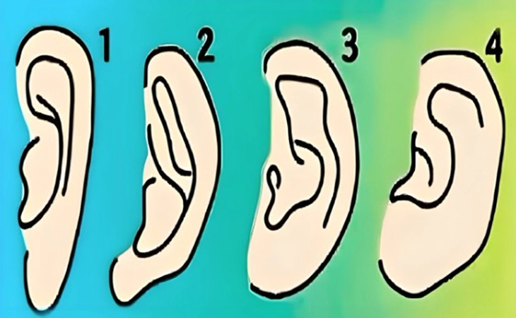 hình dạng tai - Ảnh 1.
