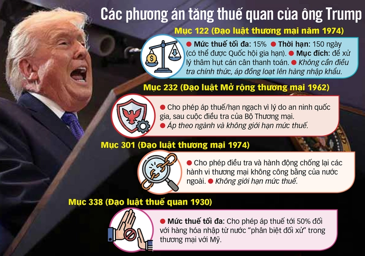 thuế quan - Ảnh 1.