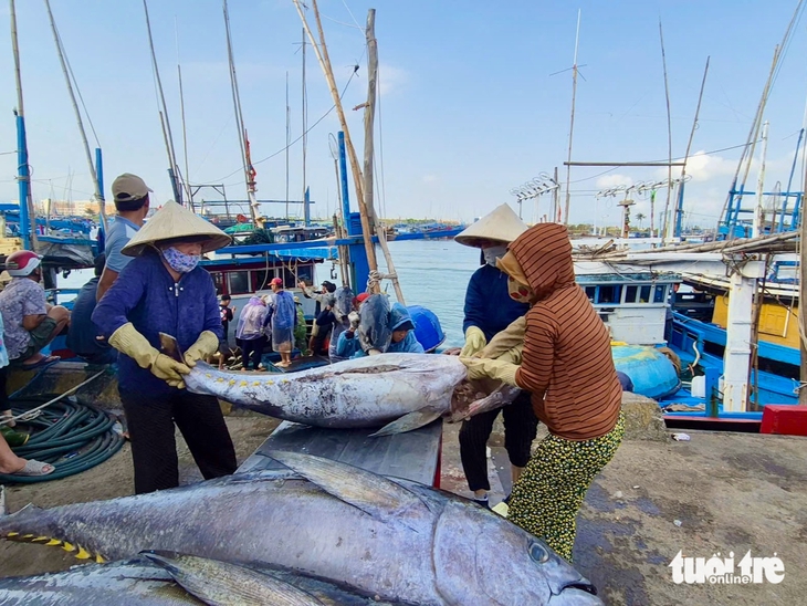 ngư dân - Ảnh 2.