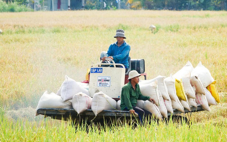 Khô hạn ‘bủa vây’, dân trên đảo Hải Tặc đối mặt nguy cơ thiếu nước ngọt sinh hoạt - Ảnh 5.