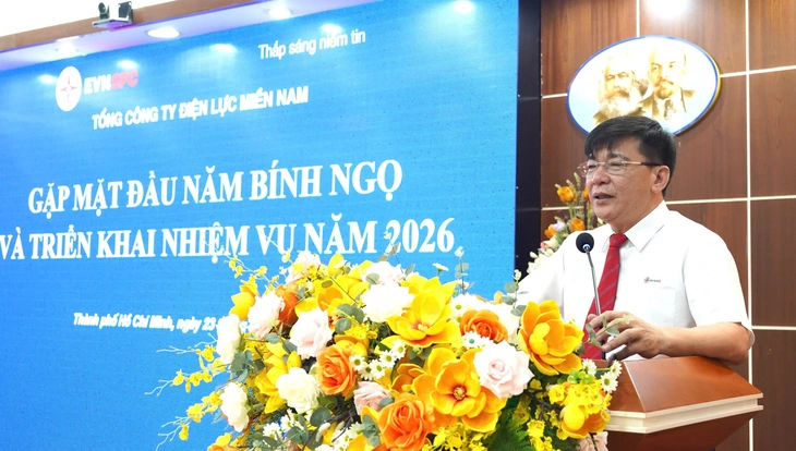 điện lực miền nam - Ảnh 3.