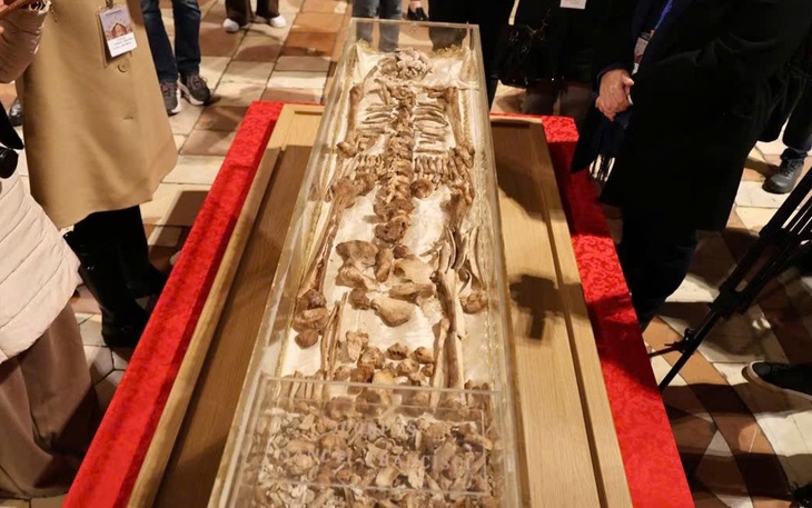 Tranh của David Hockney tái xuất sau gần 30 năm, sắp được đấu giá hàng triệu bảng Anh - Ảnh 4.