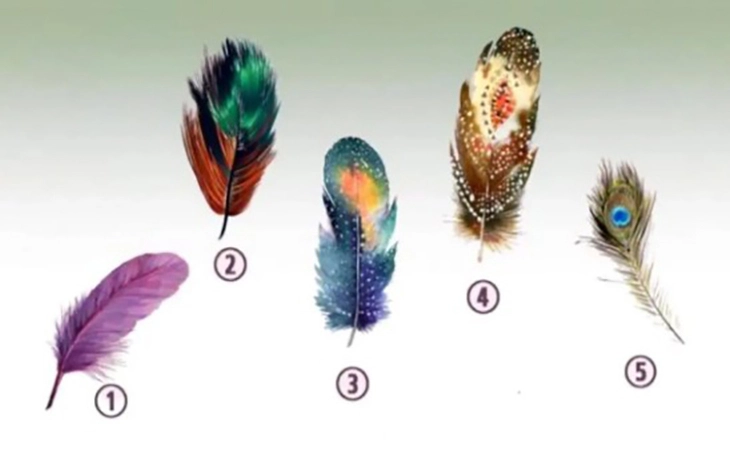 Quiz: Bạn thẳng thắn, trung thực hay giản dị, giàu tình cảm - Ảnh 2.