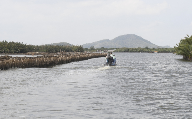 Bác khiếu nại của người bao chiếm đầm Đông Hồ nhiều nhất - Ảnh 4.
