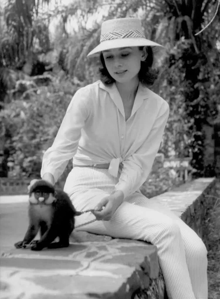 Audrey Hepburn - Ảnh 9.