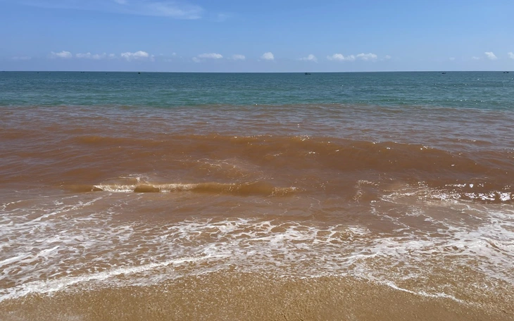 Sau chuyện nước biển đổi màu, biển Vũng Tàu nổi bọt trắng xóa nghi do tảo - Ảnh 3.
