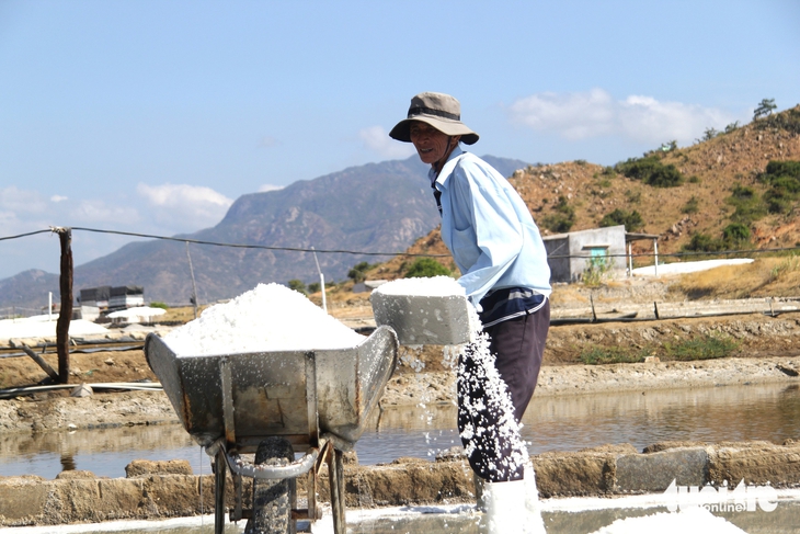 Diêm dân Ninh Thuận cũ vui khi muối được mùa được giá - Ảnh 2.