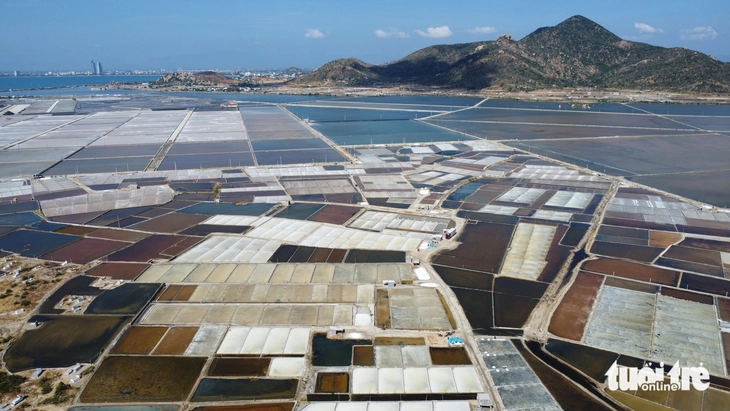 Diêm dân - Ảnh 5.