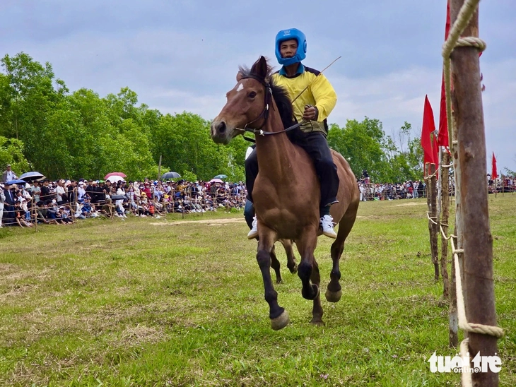 đua ngựa - Ảnh 5.