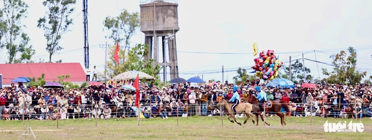 đua ngựa - Ảnh 7.
