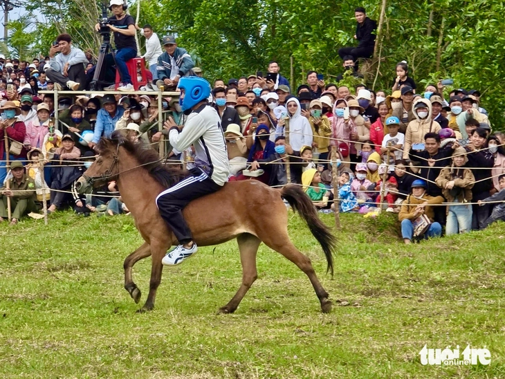 đua ngựa - Ảnh 9.