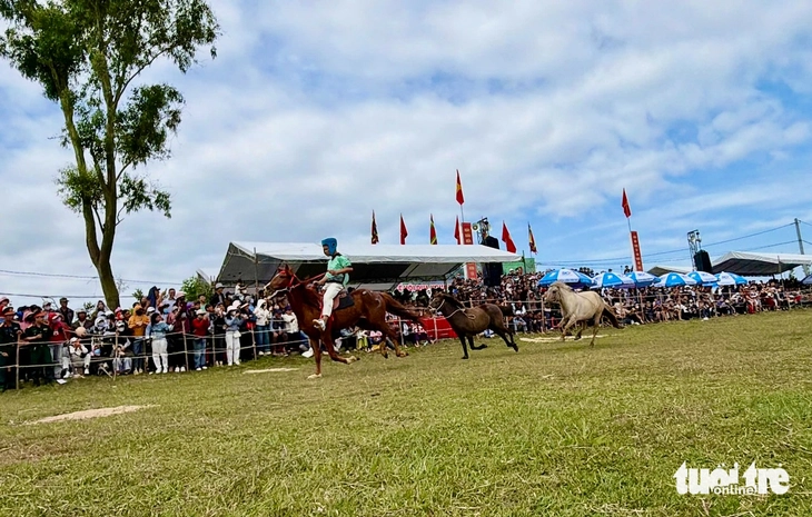 đua ngựa - Ảnh 10.