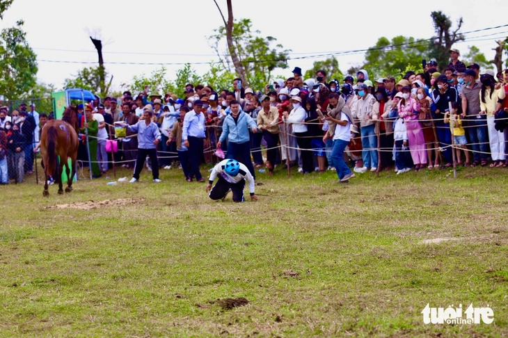 đua ngựa - Ảnh 12.