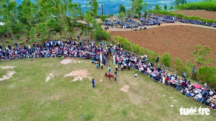 đua ngựa - Ảnh 8.