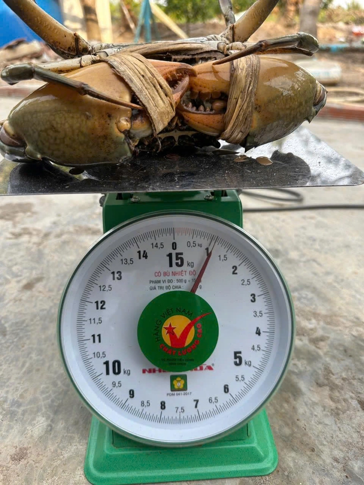 cua biển - Ảnh 1.