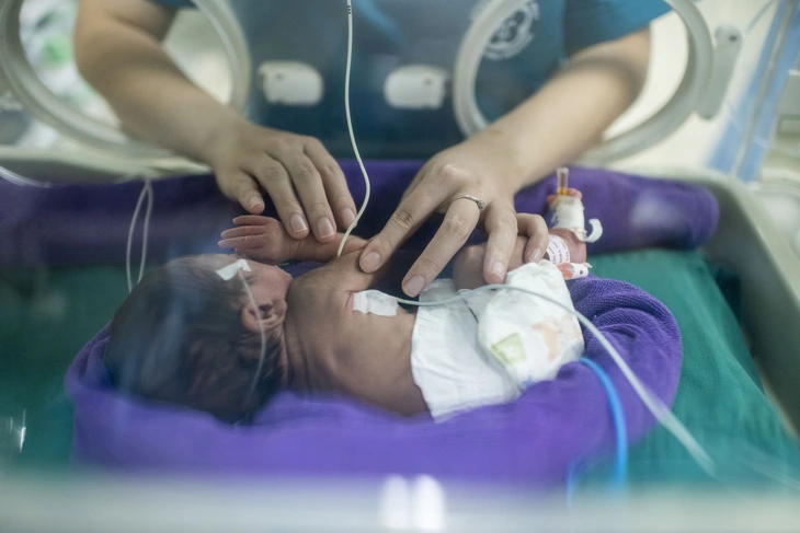 Những sinh linh bé nhỏ bắt đầu cuộc đời bằng một cuộc chiến - Ảnh 1. Những sinh linh bé nhỏ bắt đầu cuộc đời bằng một cuộc chiến - Ảnh 1.