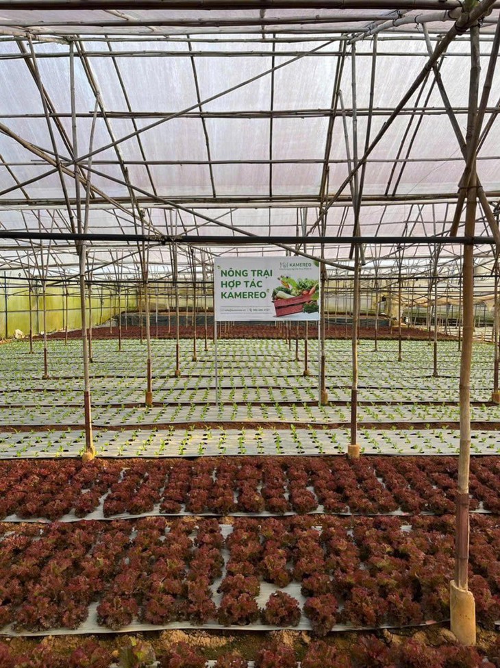 Kamereo - Nền tảng cung ứng nguyên liệu cho doanh nghiệp F&B - Ảnh 5.