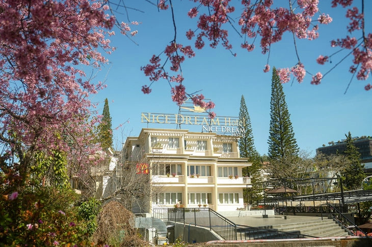 đà lạt - Ảnh 4.