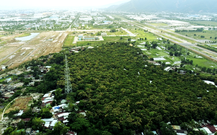 Thủ tướng Phạm Minh Chính làm việc với Ban Thường vụ Thành ủy Đà Nẵng - Ảnh 5.