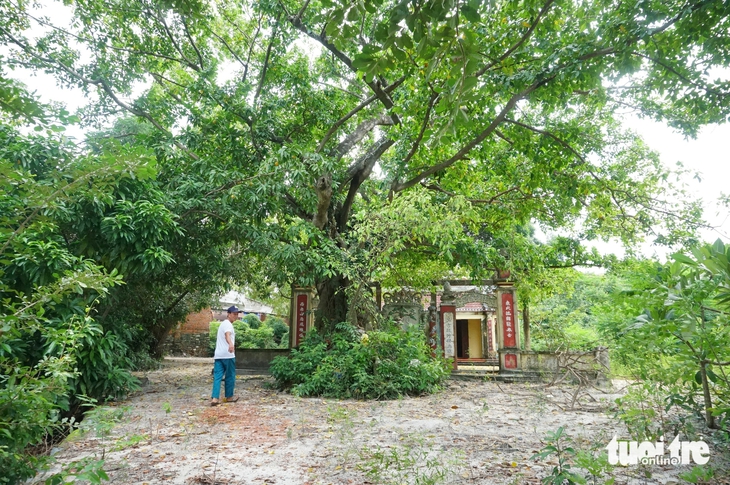 rừng thiêng - Ảnh 3.