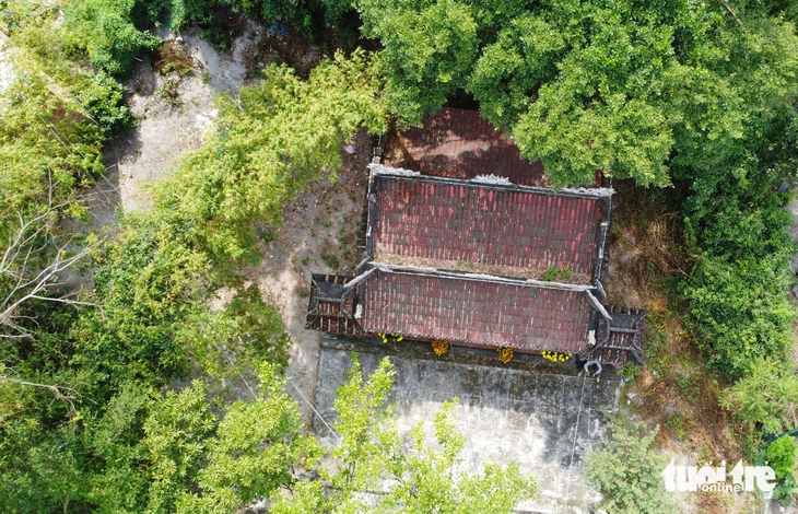 rừng thiêng - Ảnh 4.