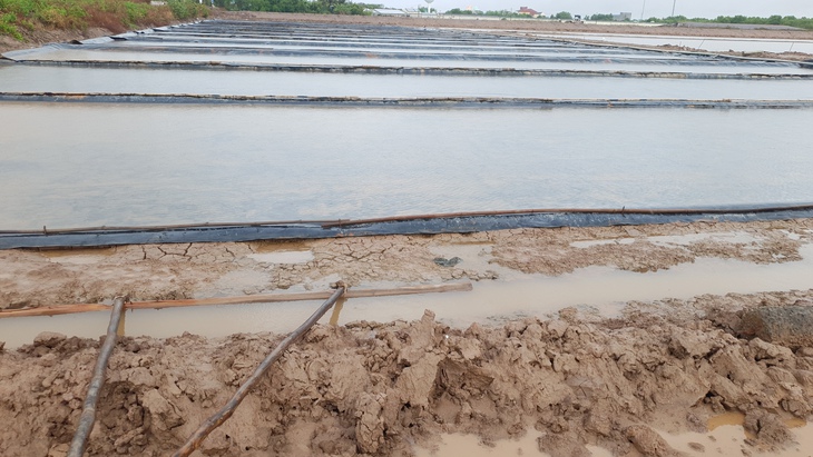 Nhiều xã ở Cà Mau có 100% diện tích muối bị thiệt hại do mưa trái mùa - Ảnh 2.
