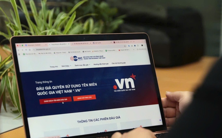 Tên miền 'hiếm' được trả tới 217 triệu đồng trong ngày đầu đấu giá - Ảnh 3.