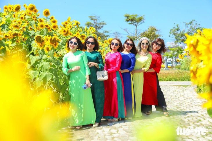 Vườn hướng dương dưới chân núi Ngũ Hành Sơn nở rộ, hút khách tham quan - Ảnh 4.