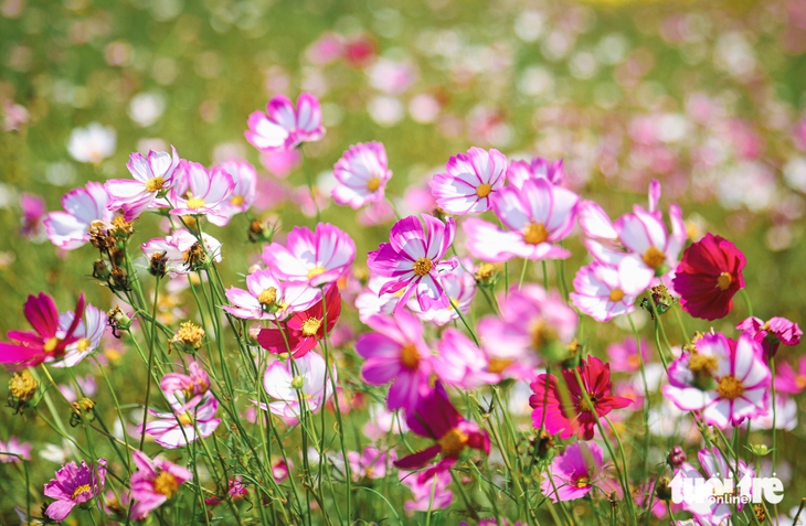 Ngũ Hành Sơn - Ảnh 9.