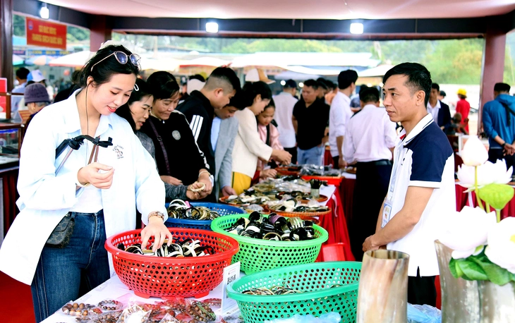 Gần 700 gian hàng OCOP trưng bày tại Lễ hội mùa xuân Côn Sơn - Kiếp Bạc - Ảnh 3.