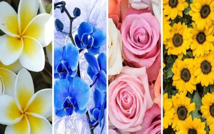 Quiz: Bạn chú trọng chi tiết hay là người mơ mộng? - Ảnh 3.