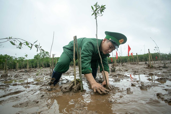 khu bảo tồn - Ảnh 5.