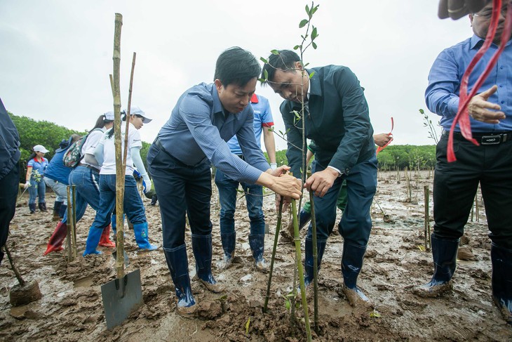 Mỗi cánh rừng được gây dựng là thêm một lớp phòng tuyến tự nhiên trước thiên tai - Ảnh 5.