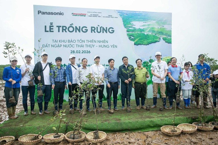 Mỗi cánh rừng được gây dựng là thêm một lớp phòng tuyến tự nhiên trước thiên tai - Ảnh 3.