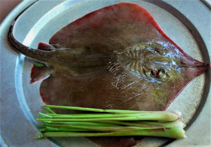 Cá đuối om chuối xanh - Hương biển Nam Ô giữa những nẻo đường Đà Nẵng - Ảnh 3. Cá đuối - Ảnh 3.
