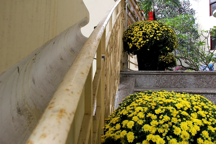 biệt thự Pháp - Ảnh 10.