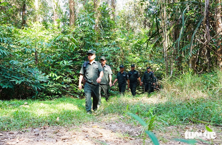 rừng Phú Quốc - Ảnh 2.