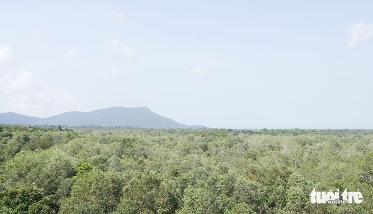 rừng Phú Quốc - Ảnh 5.
