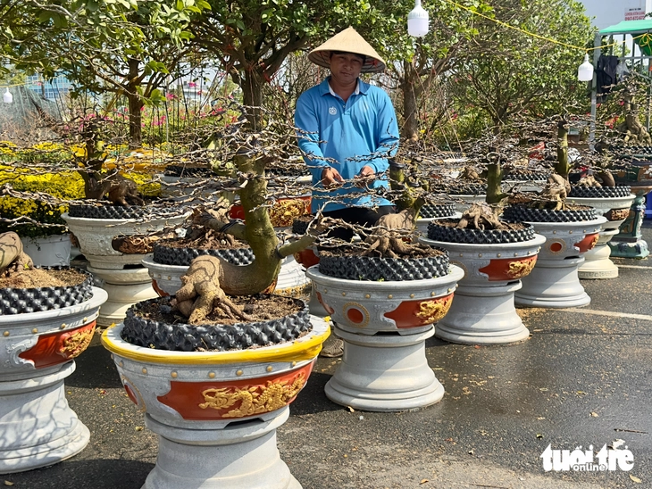 hoa Tết - Ảnh 2.