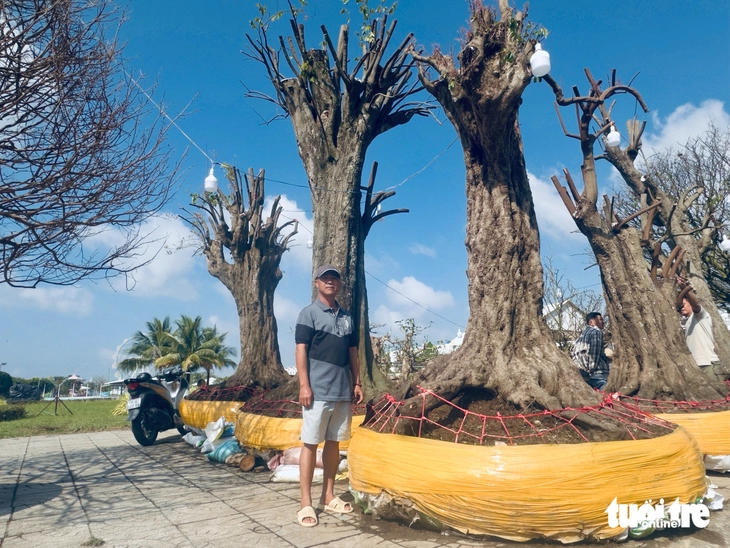 hoa Tết - Ảnh 3.